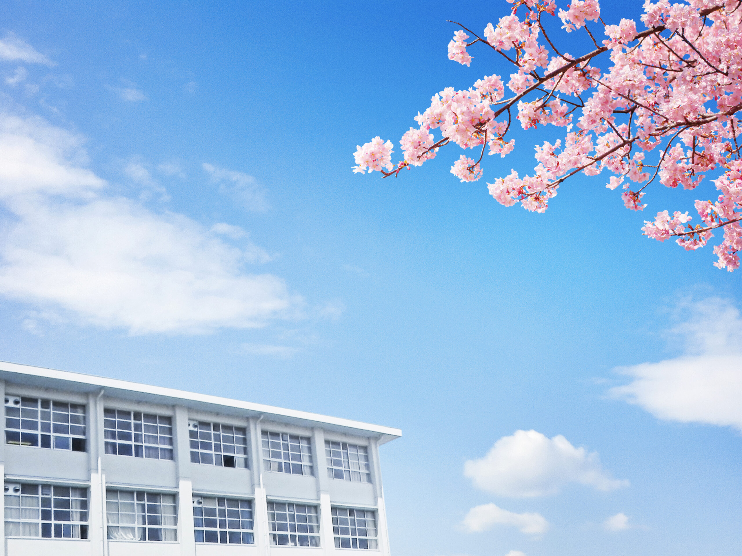 保護者と子どもが進路について話し合い前向きな学習計画を立てる様子